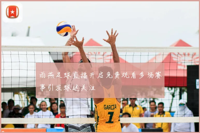 雨燕足球直播开启免费观看多场赛事引发球迷关注