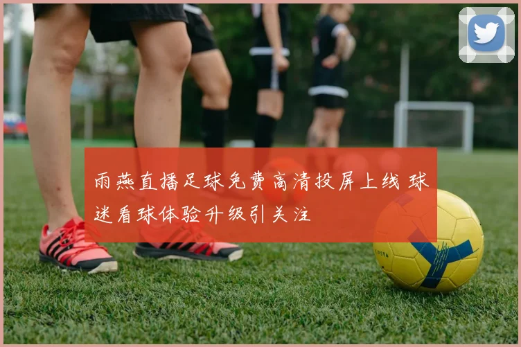 雨燕直播足球免费高清投屏上线 球迷看球体验升级引关注