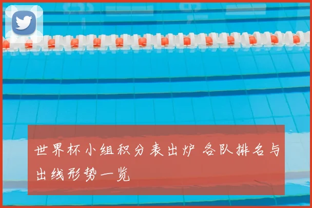 世界杯小组积分表出炉 各队排名与出线形势一览