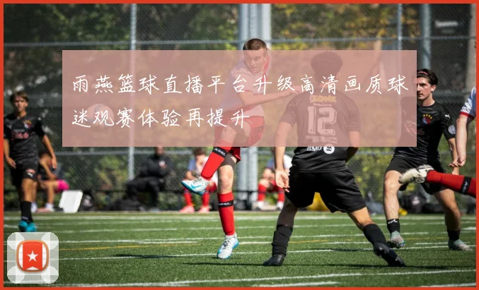 雨燕篮球直播平台升级高清画质球迷观赛体验再提升