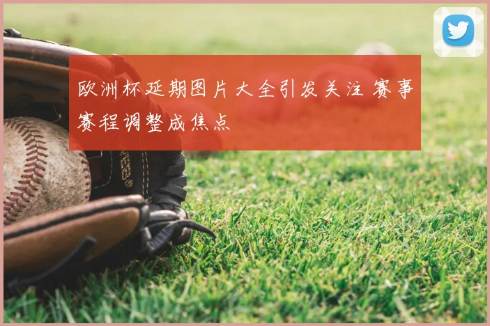 欧洲杯延期图片大全引发关注 赛事赛程调整成焦点