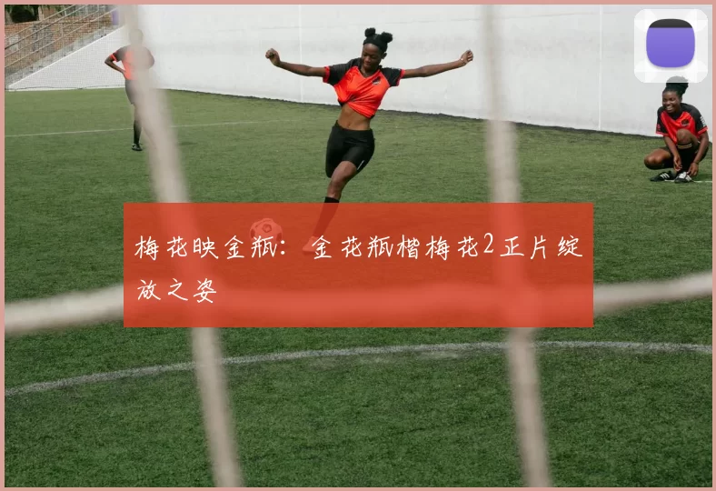 梅花映金瓶:金花瓶楷梅花2正片绽放之姿