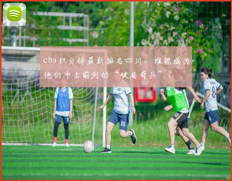 cba积分榜最新排名四川，谁能成为他们冲击前列的“破局奇兵”？