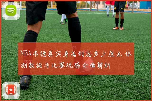 NBA韦德真实身高到底多少厘米 体测数据与比赛观感全面解析