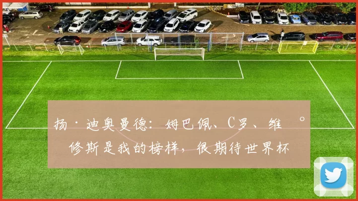 扬·迪奥曼德:姆巴佩、C罗、维尼修斯是我的榜样,很期待世界杯